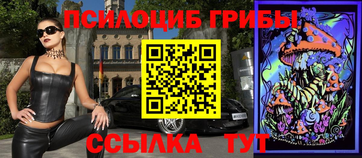 Тара  Галлюциногенные грибы Cubensis  Вход с VPN 